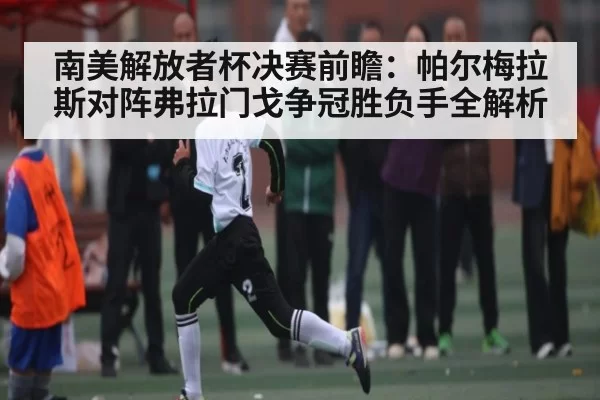 南美解放者杯决赛前瞻:帕尔梅拉斯对阵弗拉门戈争冠胜负手全解析